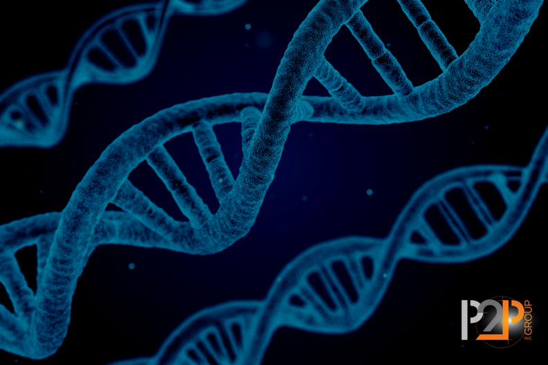 Image of DNA